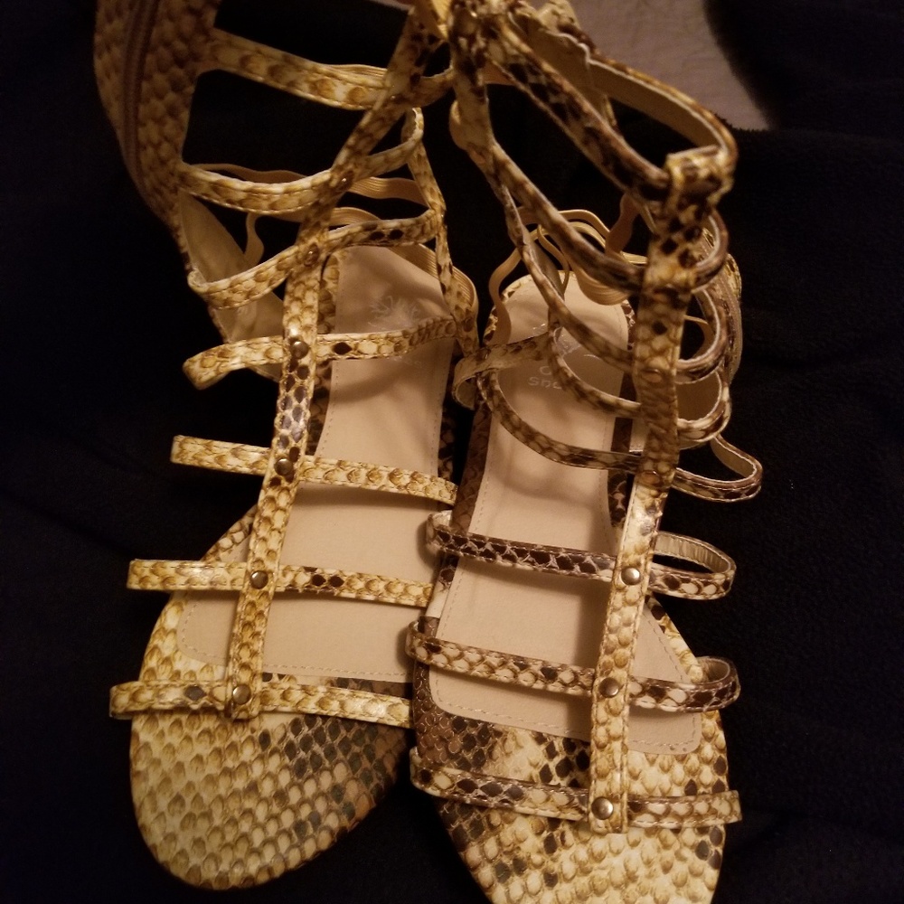 Shoes - Picture 4 of 4